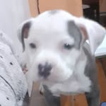 Elsa Quito - @elsaquito2 - Instagram