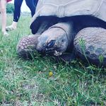 Swetlana - @elsarichter2812 - Instagram