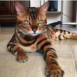 robby elsa - @elsarobby - Instagram