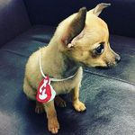 @elsa_roger - Instagram