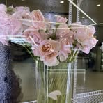 Elsa Roger - Facebook
