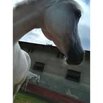 Elsa Rogers - @elsarogers58 - Instagram