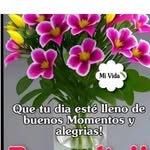 Elsa Rosado - @rosadoelsa72 - Instagram