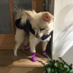 Elsa Rossi - @elsarossi4119 - Instagram