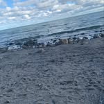 Elisa Schubert - @woertersee2021 - Instagram