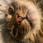 Elsa - @elsa_c_small - Instagram