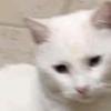 MarcyEdwardJhJx2_ - @spencerelsakocq_r - TikTok