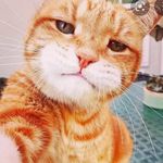 ElsaStanley - @olivianalr1635 - Instagram