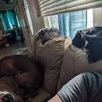 Elsa Stevens - @emgs1962 - Instagram