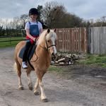 My showing pony rhys and me xx - @elsa.stevens_ - Instagram