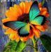 Elsa Tabares - Facebook