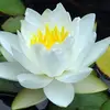elsatannert - @elsatannert - TikTok