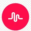 Elsa_Tarín - @elsatarin - TikTok