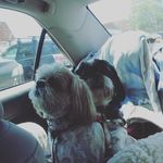Elsa Taylor - @elsataylor2 - Instagram