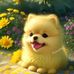 Elsa Thomas - Facebook