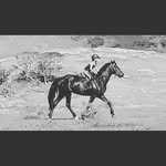 Elsa THOMAS CHABAUD - @elsabrk3 - Instagram