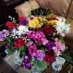 Elsa Tobar - @elsa.tobar.589 - Instagram
