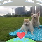 Elsa Tong - @suisui3184 - Instagram