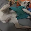 ElsaTong - @2166166869 - TikTok