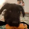 Elisa Traverso - @elisatraverso1973 - TikTok