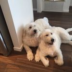 Olaf And Elsa Tucker - @olafandelsacarmel - Instagram