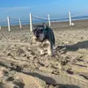 Elsa Urueta Alvarez - @elsalucia18 - TikTok