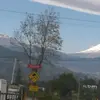 Elsa Vaca - @holibolisoyronny - TikTok