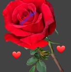 Elsa Valcarcel - Facebook