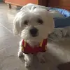 Elsa Valcarcel Jimenez - @elsavalcarceljime - TikTok