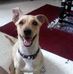 Elsa Valdes - Facebook