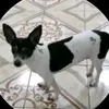 Elsa Valle - @elsa.valle54 - TikTok