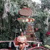 Elsa Velez - @elsa.velez727 - TikTok