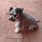 Elsa Venter - Facebook