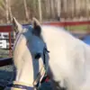 🤠💕Vɪᴄᴋʏ💕🤠 - @vicky.elsa - TikTok