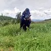 Elsa Vidal - @elsa.vidal1 - TikTok