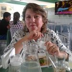 Elsa Vidal - @elsa.vidal.792197 - Instagram