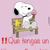 elsavilchis966 - @elsavilchis966 - TikTok
