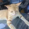 Elsa Villa - @user190993063497144 - TikTok
