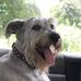 Elsa Vite - Facebook