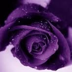 Elsa Volpe - Facebook