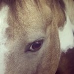 elsa de vos - @elssie2002 - Instagram