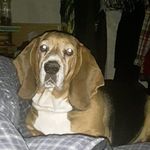 @elsa_mae_wadeson - Instagram