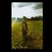 Elsa Waller - Facebook