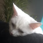 Elsa Waller - Facebook