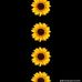 Ward Elsayd  - Facebook