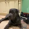 ella waters - @ellawaters6 - TikTok