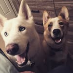 Elsa & Renner Watson - @the_elsa_renner_chronicles - Instagram