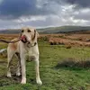 Elsie Whitaker396 - @elsiewhitaker396 - TikTok