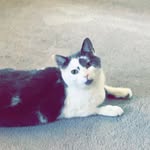 Elsa - @elsa.whitney2020 - Instagram