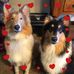 Elsa Wingard - Facebook